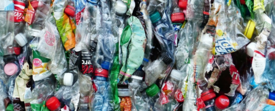 Don't trash your brand: The real impact waste has on your business
